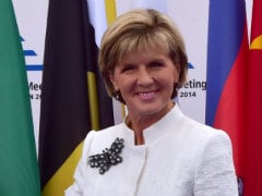 MH17 Discussion With Vladimir Putin 'Constructive': Australian Foreign Minister