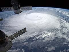 Power Out, Trees Fall as Hurricane Crosses Bermuda