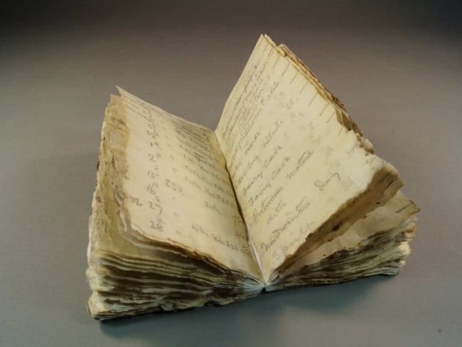 Thaw Reveals Antarctic Explorer's Century-Old Notebook
