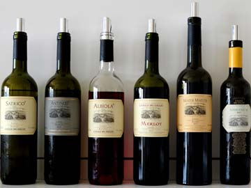 Beneath New World Vines, A Glimpse of Old World Wine