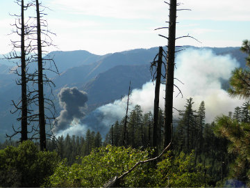 Air Tanker Crashes Fighting Yosemite National Park Wildfire