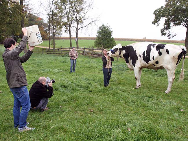 US Pet Dubbed World's Tallest Cow 