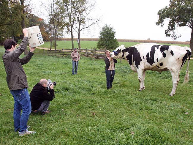 US Pet Dubbed World's Tallest Cow