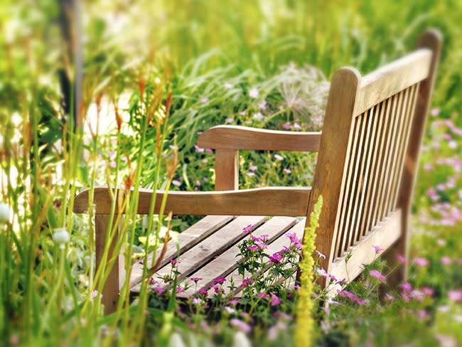 Woman Sent to Jail over Overgrown Yard