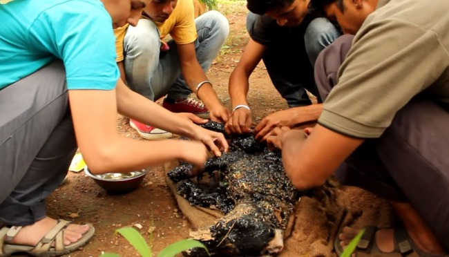 Viral: This Dog Was Covered in Tar and Couldn't Move, Until These Guys Came Along