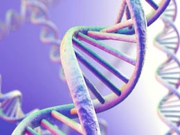 What Makes a Criminal? Gene Trawl Raises Questions What Makes a Criminal? Gene Trawl Raises Questions