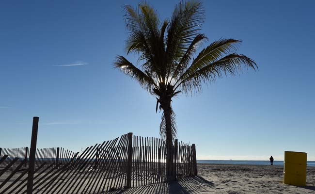 Coldest Air of the Season Set to Blast 42 US States: Forecasters