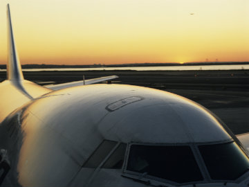 Bird Hits Ahmedabad-Mumbai Flight Carrying 116 Passengers