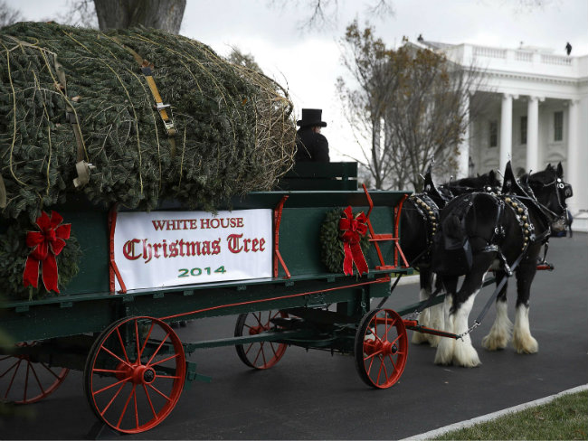 Christmas Tree Arrives at the White House