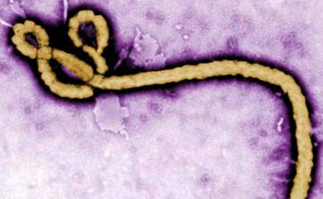 Global Ebola toll rises to 5,689: World Health Organization