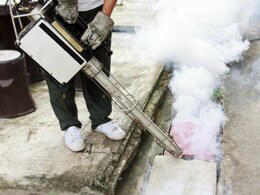 47 Dead as Plague Spreads to Madagascar Capital 47 Dead as Plague Spreads to Madagascar Capital