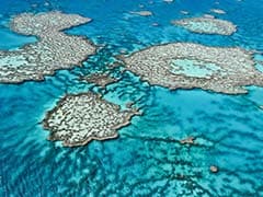 Australia to Ban Dredge Waste Dumping on Barrier Reef