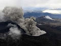 Volcano in South Japan Erupts, Disrupting Flights