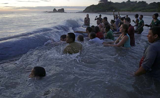 Massive Whale Beached in Southern Nicaragua