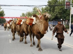 China to Establish $40 Billion Silk Road Infrastructure Fund