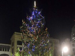 This Town's 'Ugly' Christmas Tree Prompts Public Outcry This Town's 'Ugly' Christmas Tree Prompts Public Outcry