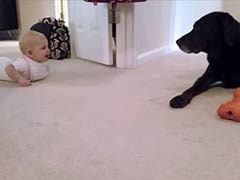 This Baby Crawls For the First Time. You Have to See What Happens Next