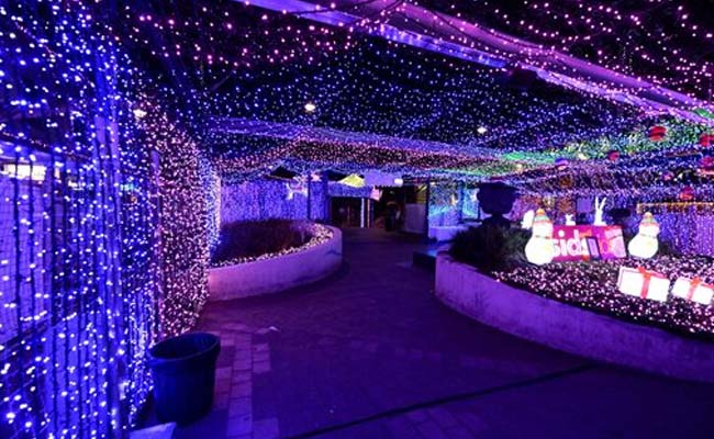 1.2 Million Australian Christmas Lights Set Record