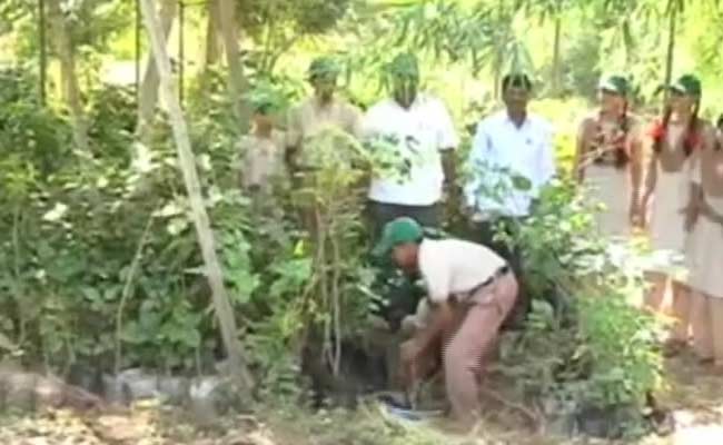 This Village in Maharashtra Leads the Way for a 'Swachh Bharat'