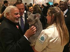 Australia Brings 'Koala Diplomacy' to Bear at G20