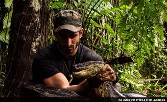This Man Offers Himself as Dinner to Anaconda