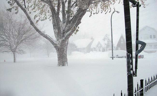 As All 50 States of US Freeze, Four Die in Massive New York State Snowstorm
