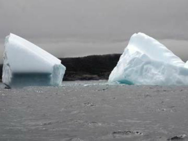 India Seeks Increased Participation in Arctic Council
