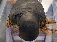 Scientists Work to Conserve 2,500-Year-Old Mummy