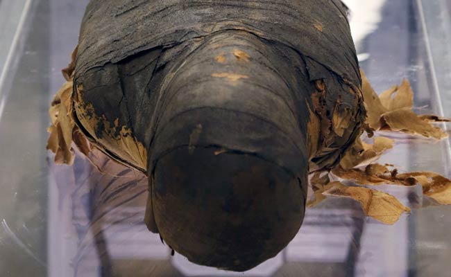Scientists Work to Conserve 2,500-Year-Old Mummy