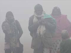 Cold Wave Grips Several Cities, Nagpur Coldest in 45 Years