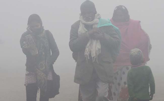 Slight Respite From Cold Conditions in Rajasthan