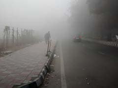 Foggy Friday Morning in Delhi Delays 61 Trains