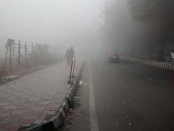 Delhi's Coldest Morning in Five Years; Dense Fog Hits Flights, Trains