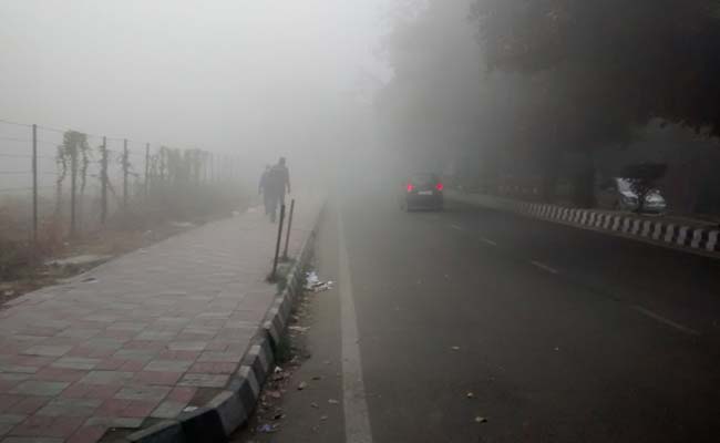 Cold Weather Continues in Punjab, Haryana