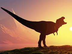 'Romeo and Juliet' Dinosaurs Found Buried Together
