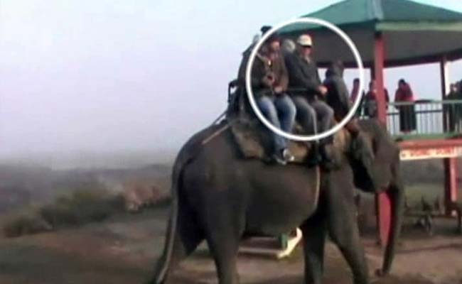 As Assam Burned With Violence, State's Top Bureaucrat Enjoyed Elephant Rides