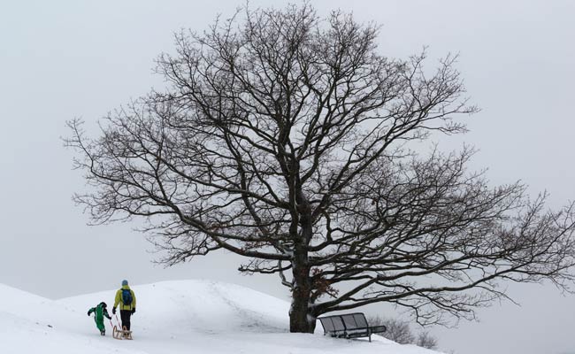 Snow Brings Chaos to Europe, But Skiers Rejoice