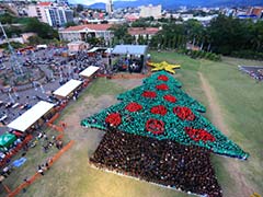 Hondurans Get In The Spirit With World Record Human Christmas Tree