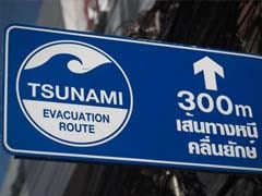 The Devastating 2004 Tsunami: Timeline