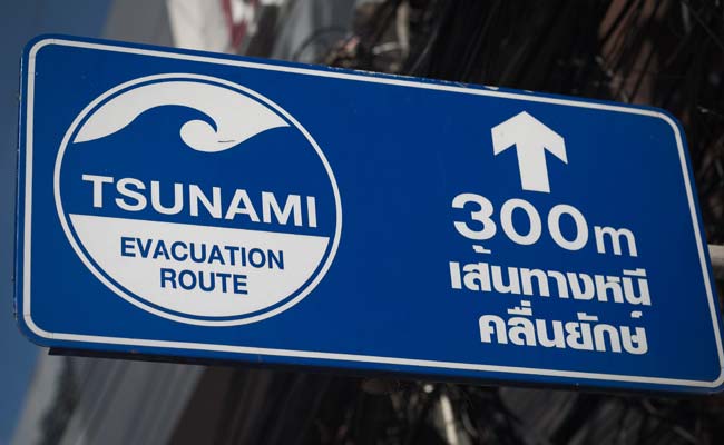 The Devastating 2004 Tsunami: Timeline