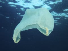 World's Oceans Laden With 269,000 Tons of Plastic: Study