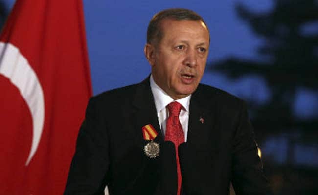 Turkish President Erdogan Tells EU to 'Mind Own Business' Over Turkey Arrests