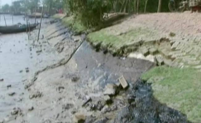 Bangladeshis Use Sponges to Clean Sundarbans Oil Spill Threatening Dolphins