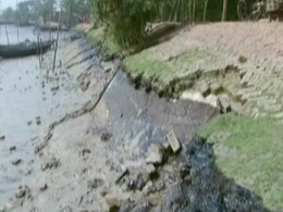 Bangladesh Development 'Threatens Fragile Sundarbans' Bangladesh Development 'Threatens Fragile Sundarbans'