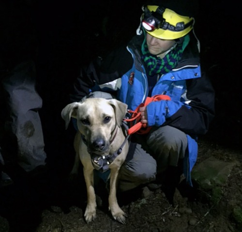 Dog Rescued in the Dark by Climber in the Columbia Gorge
