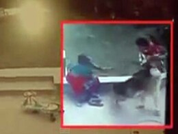10-Year-Old Rescues Toddler Sister From Dog Attack in Ahmedabad 10-Year-Old Rescues Toddler Sister From Dog Attack in Ahmedabad