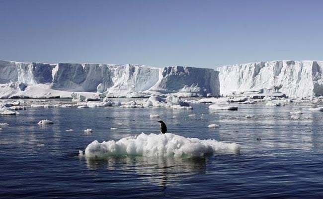 Antarctic Sanctuary Moves Closer With China Support: Officials