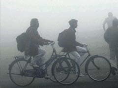 Cold Wave Intensifies in Uttar Pradesh, 3 Die in Fog-Related Mishaps