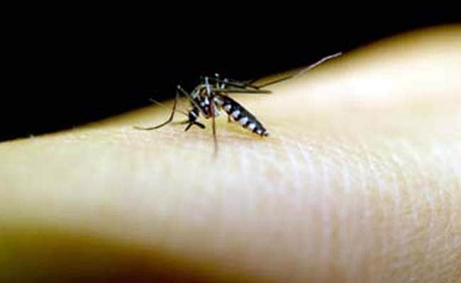 13 New Patients Test Positive for Dengue in Indore