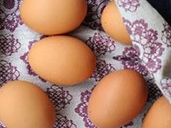 How Bird Eggs Get Their Bling